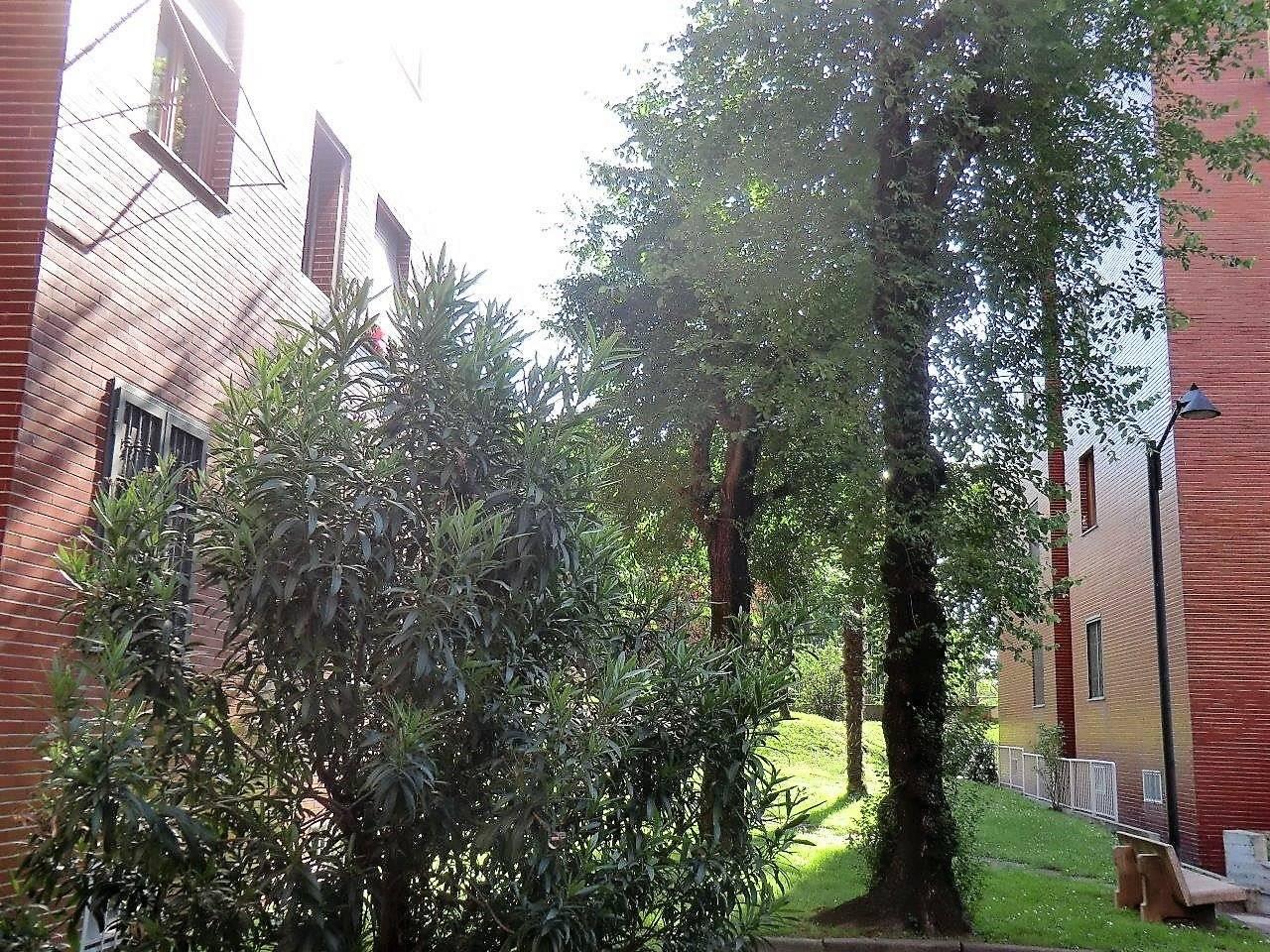immagine annuncio 8 di 13