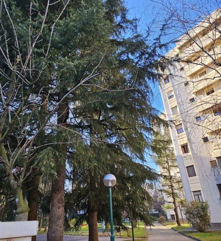 immagine annuncio 7 di 11