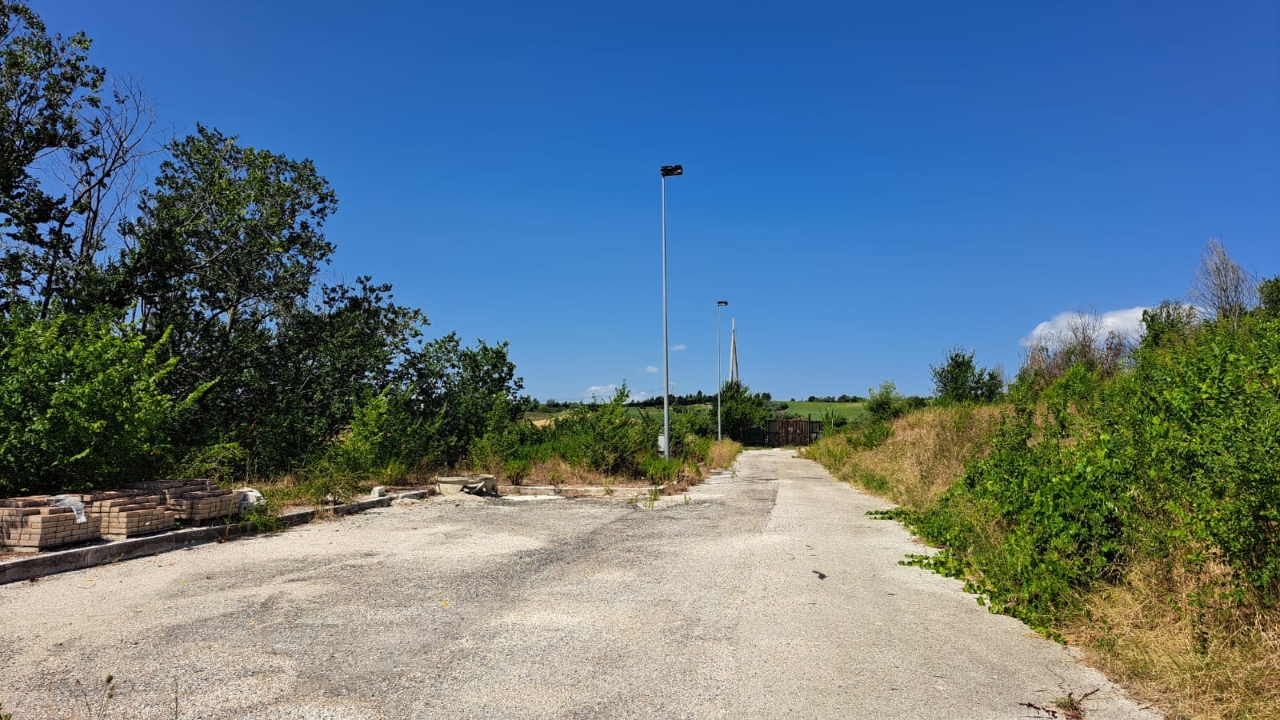 immagine annuncio 11 di 13
