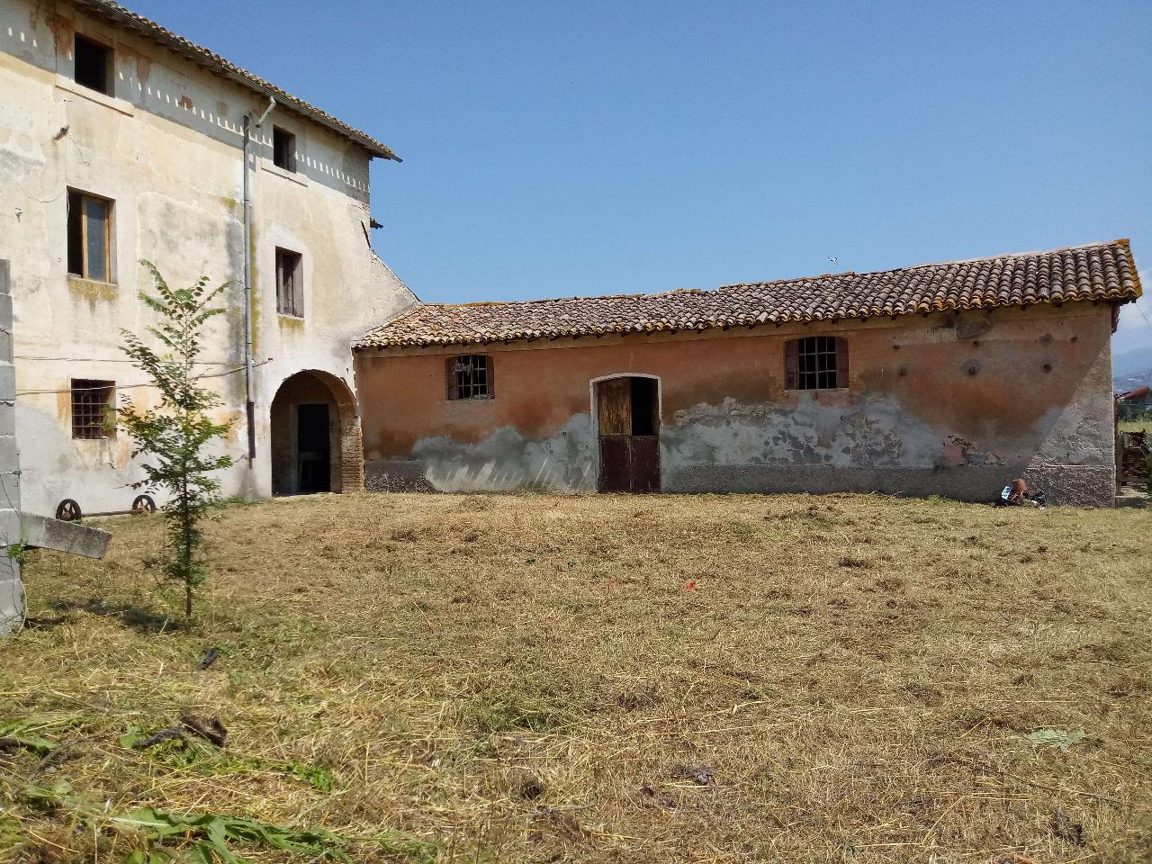 immagine annuncio 2 di 11