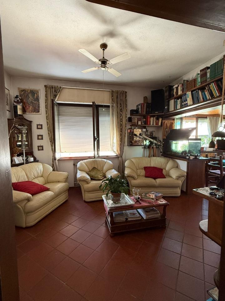 immagine annuncio 2 di 14