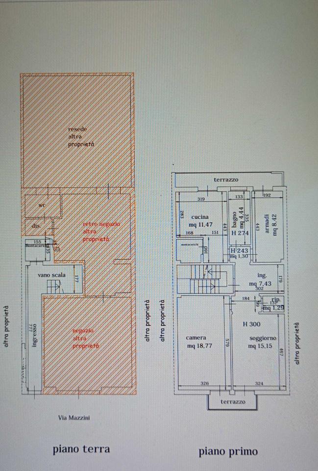 immagine annuncio 12 di 14