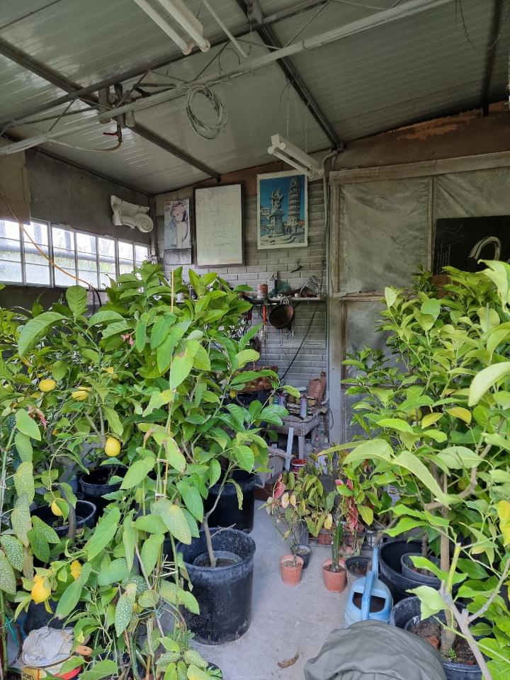 immagine annuncio 2 di 3