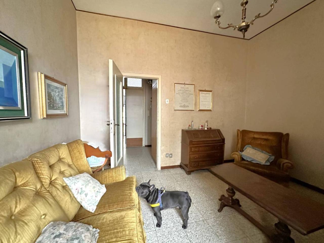 immagine annuncio 3 di 9