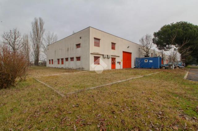 Industrial shed in Via Cremona 103, Manerbio - Photo 1