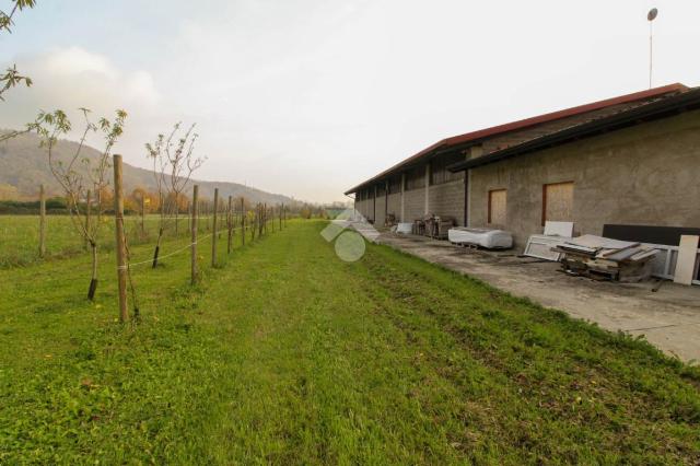 Agricultural land in {3}, Via Miola - Photo 1