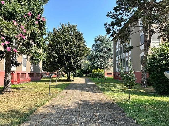 3-room flat in Via Giuseppe Moruzzi 1, Pavia - Photo 1