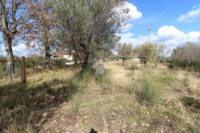 Terreno edificabile in Vocabolo San Pietro, Frasso Sabino - Foto 1