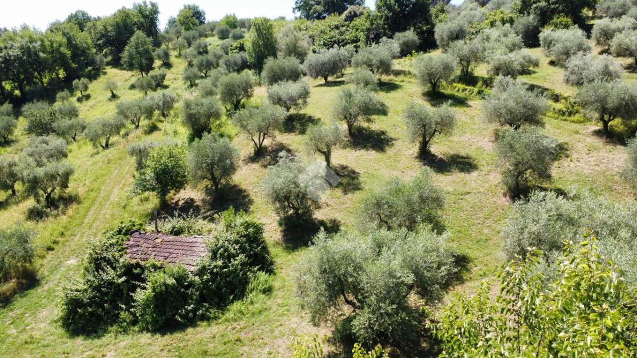Terreno edificabile in vendita a Fiano Romano