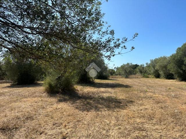 Terreno agricolo in Loc. La Rucchetta 32, Alghero - Foto 1