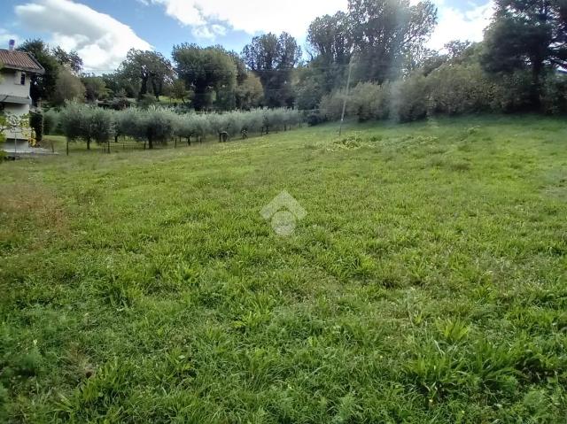 insertion image