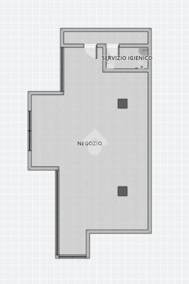 Negozio in Viale Santa Maria 14, Carpenedolo, {3} - Planimetria 1