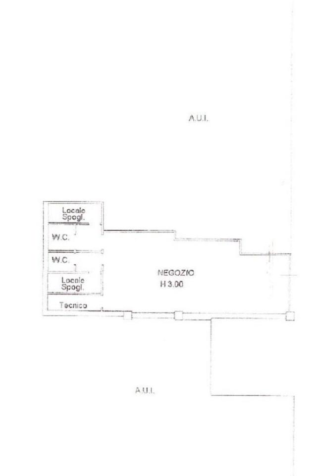 Negozio in Via XX Settembre, Carpenedolo, {3} - Planimetria 1