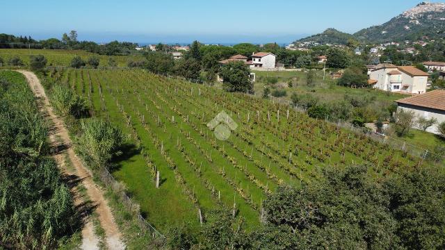 Baugrundstück in Località Cenito, Castellabate - Foto 1