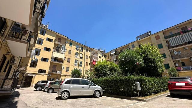 3-room flat in Via Padre Vergara Mario 9, Frattamaggiore - Photo 1