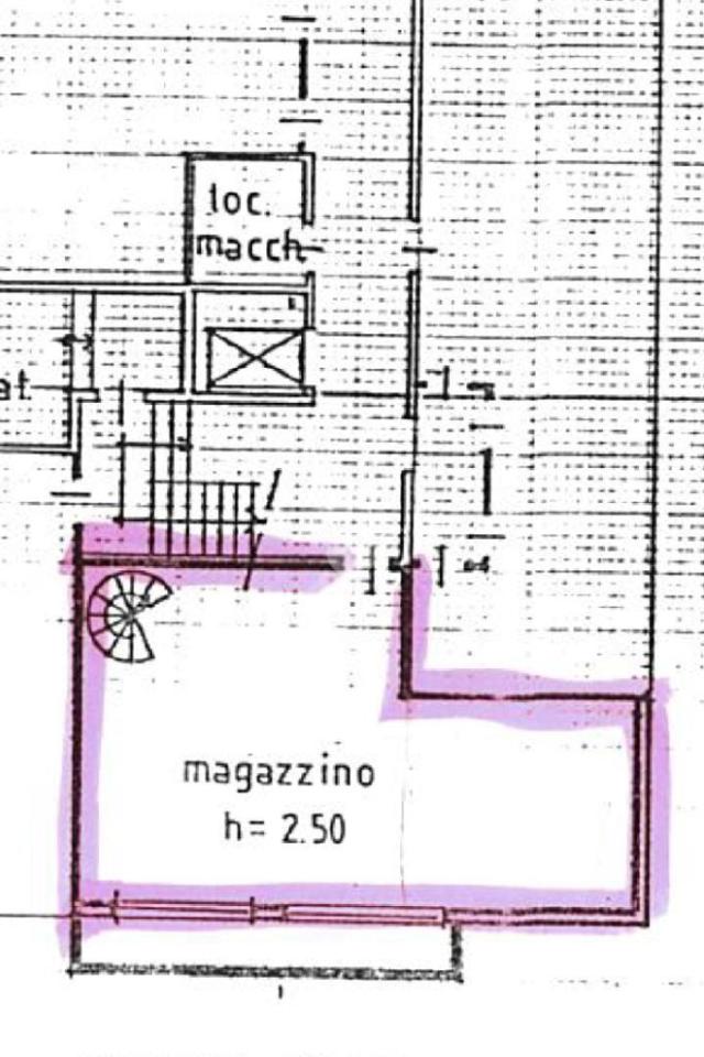 Negozio in Via Magenta 6, San Vittore Olona, {3} - Planimetria 1