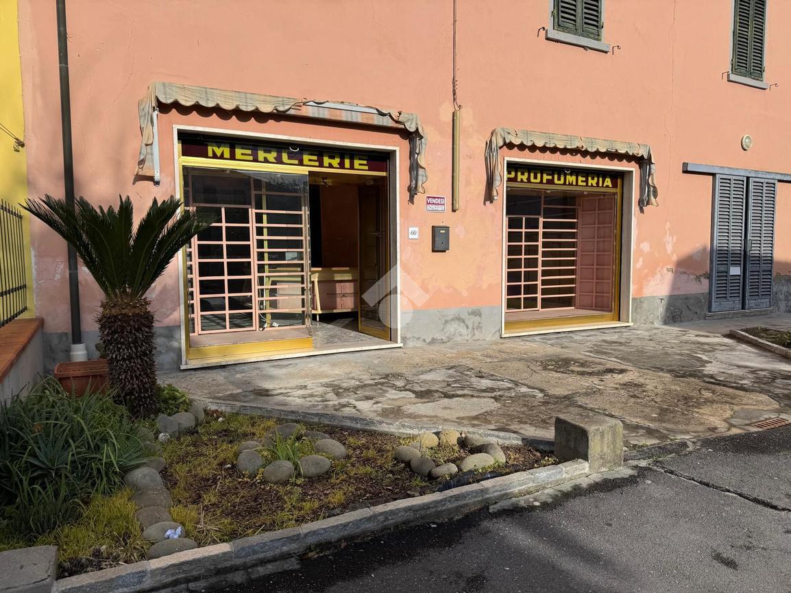 Negozio in Via Aldo Moro, Ponte Buggianese, {3} - Foto 1