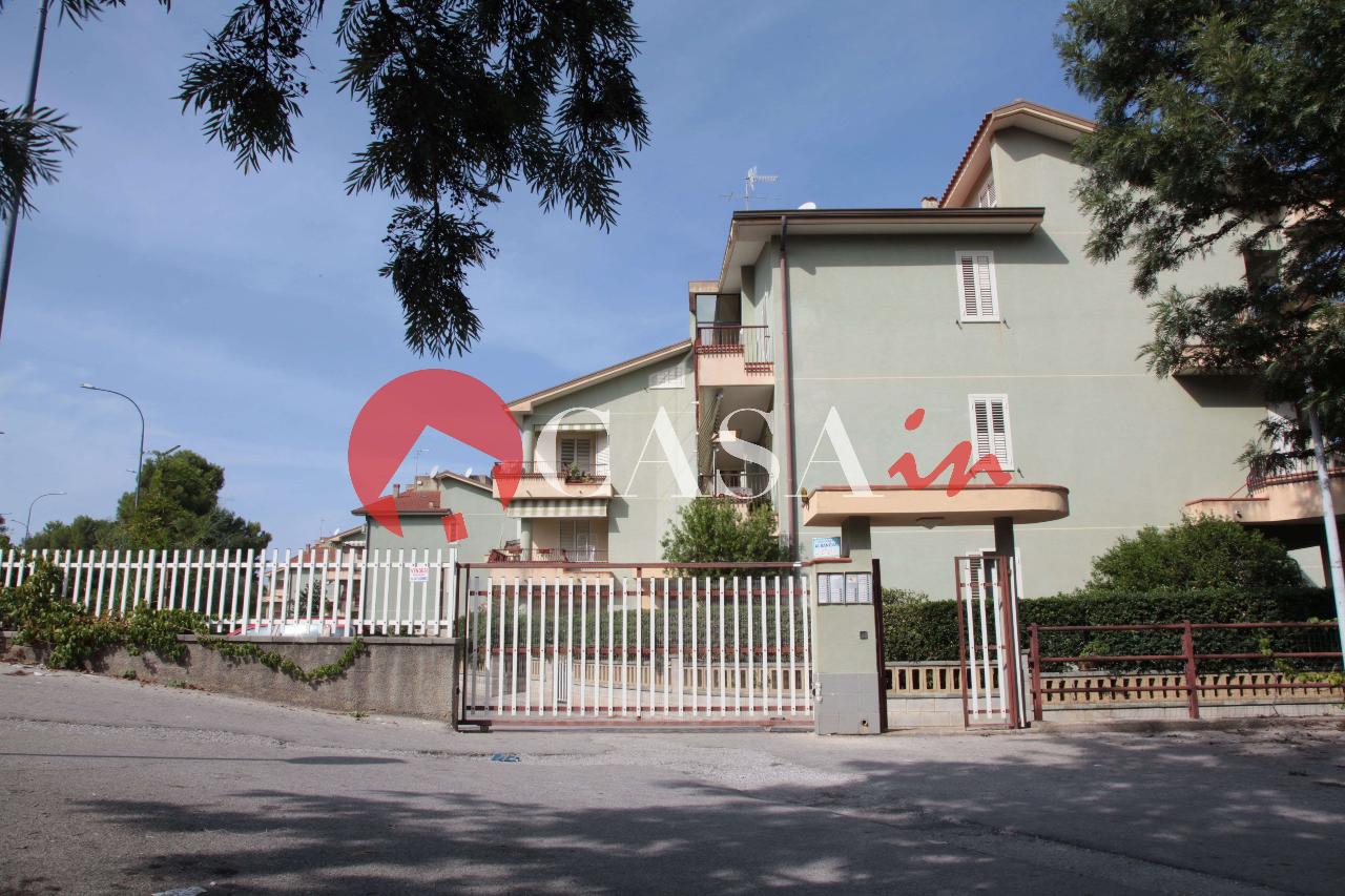 immagine annuncio 7 di 11
