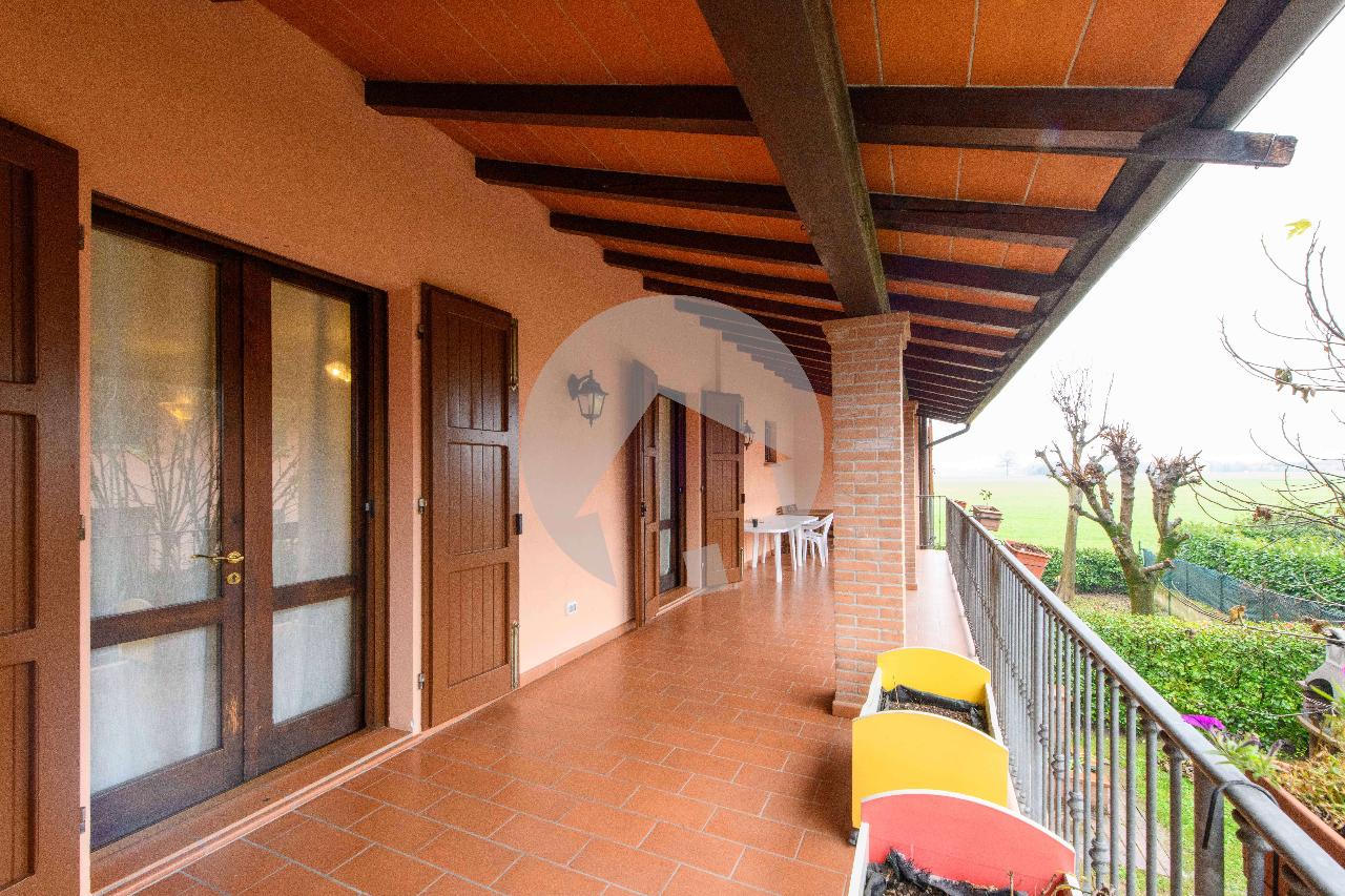 immagine annuncio 11 di 15