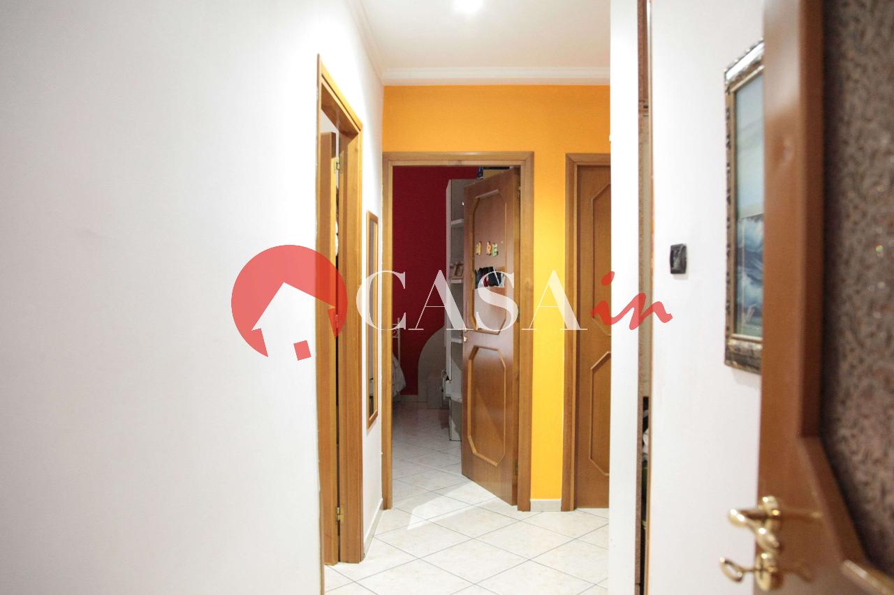 immagine annuncio 7 di 14
