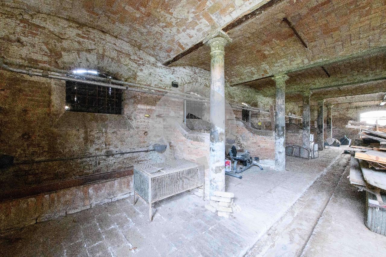 immagine annuncio 9 di 12