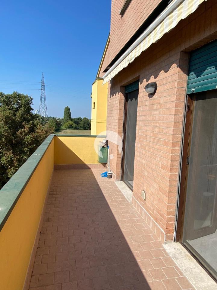 immagine annuncio 8 di 14