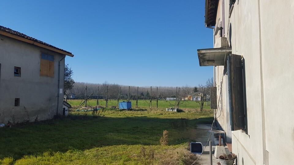 immagine annuncio 6 di 13