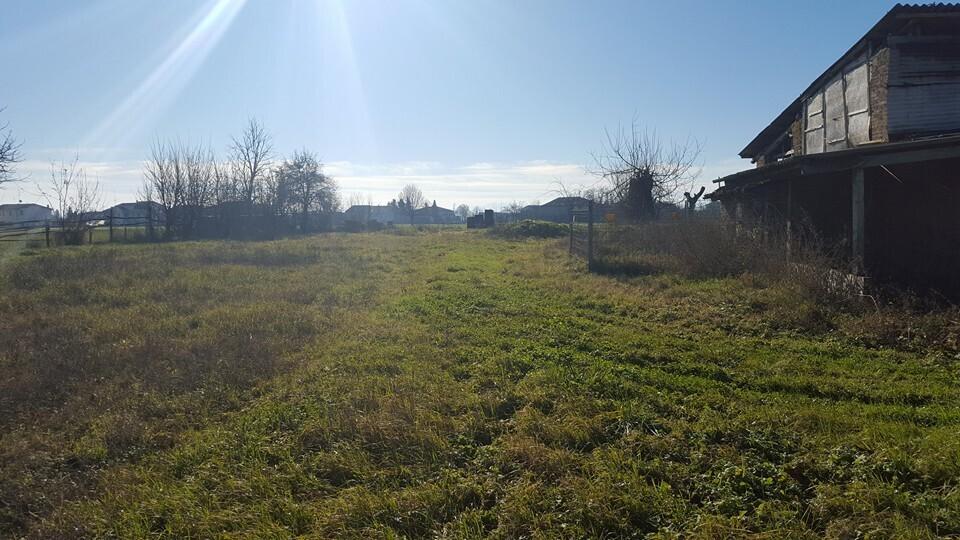 immagine annuncio 5 di 13