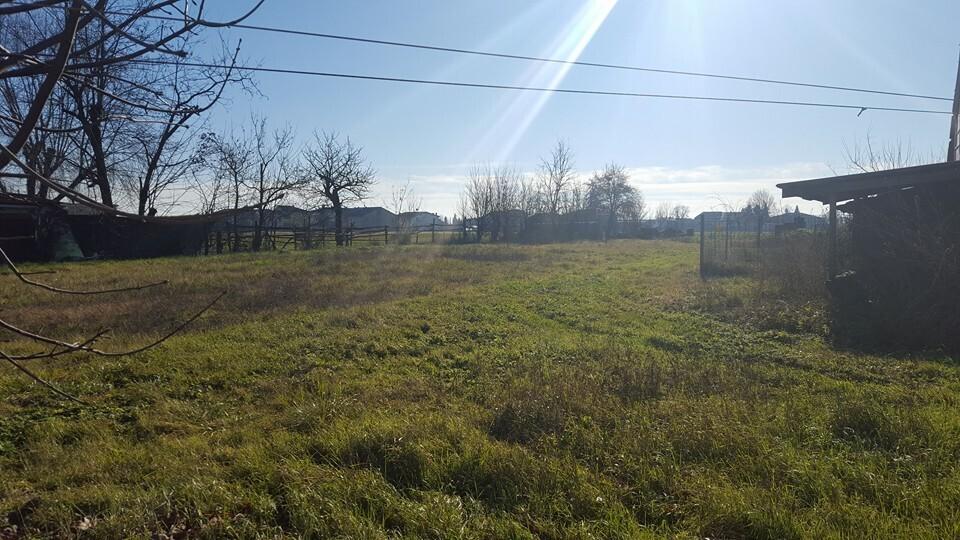 immagine annuncio 9 di 13