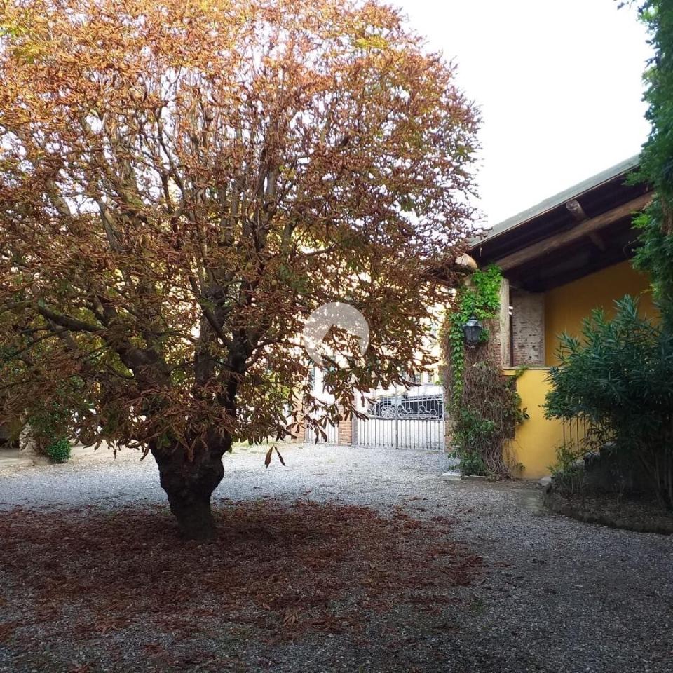 immagine annuncio 1 di 12