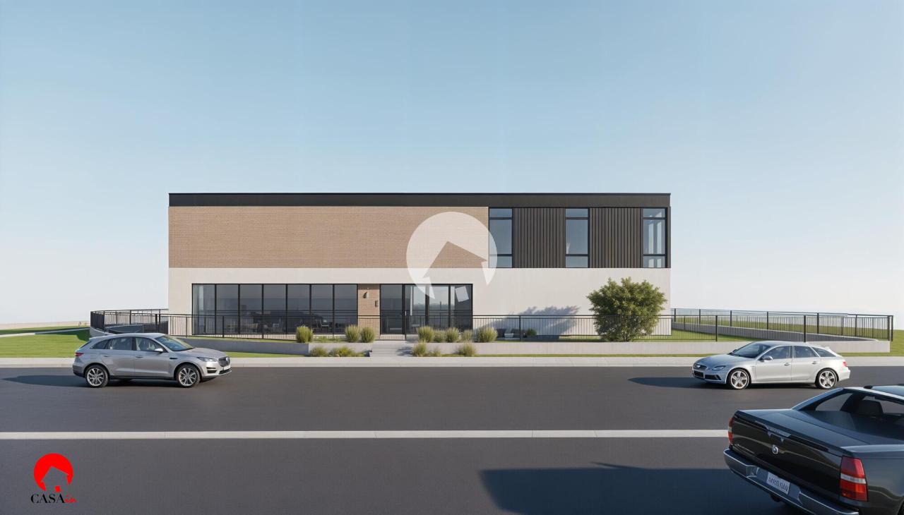 immagine annuncio 1 di 14