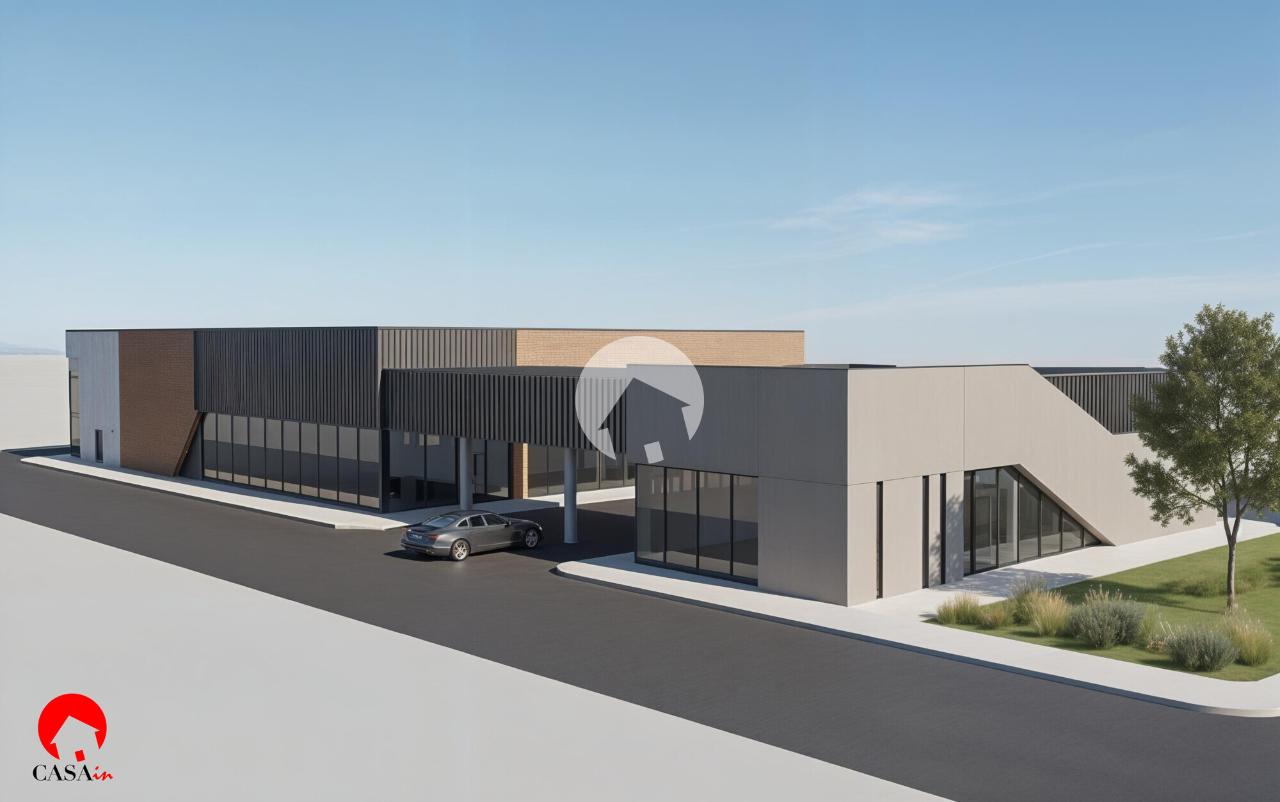 immagine annuncio 9 di 14