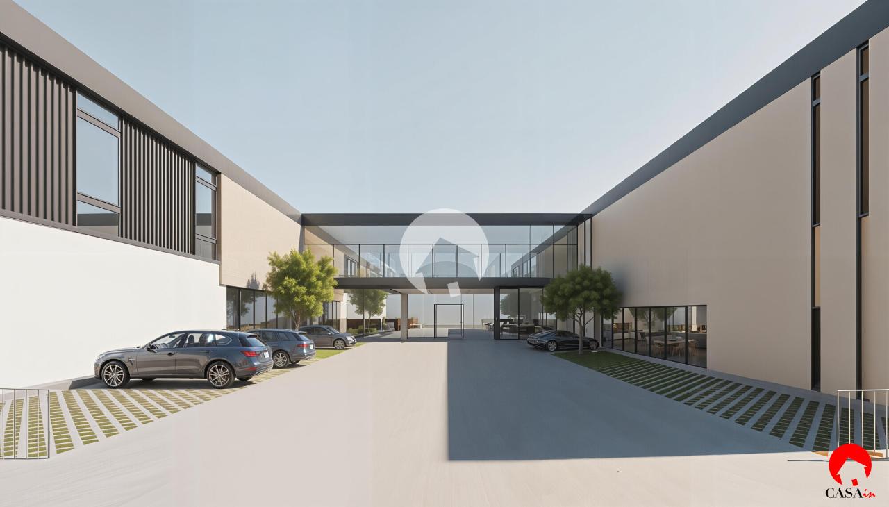 immagine annuncio 12 di 14