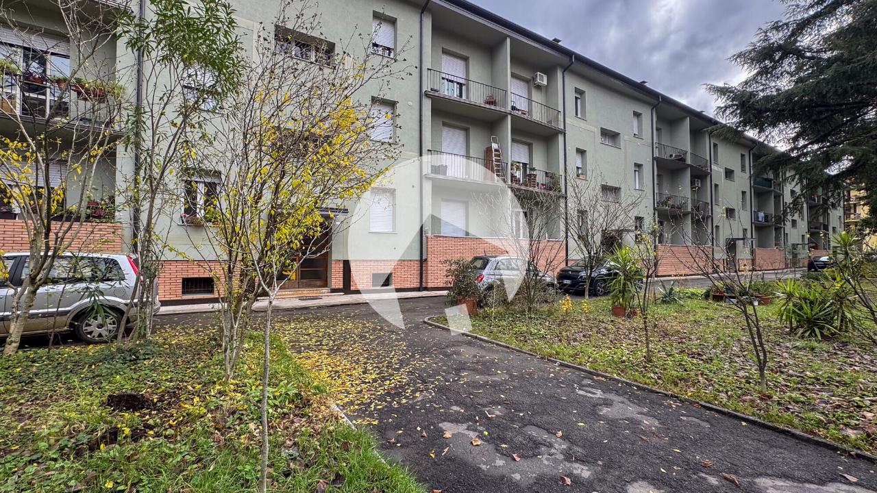 immagine annuncio 3 di 12