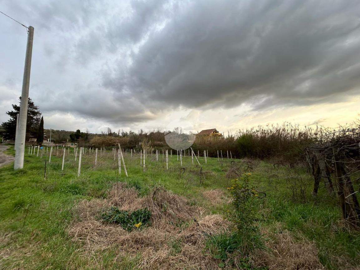 Terreno agricolo in vendita a Guidonia Montecelio