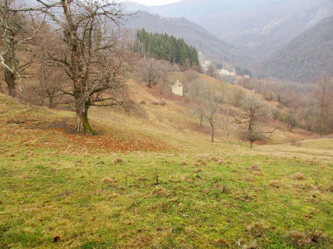 immagine annuncio 7 di 12