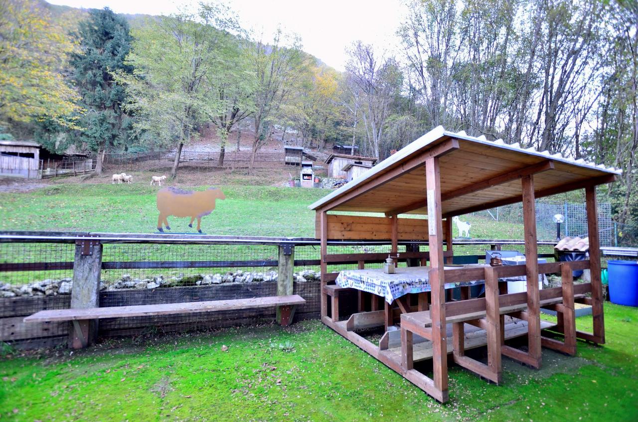 immagine annuncio 10 di 15