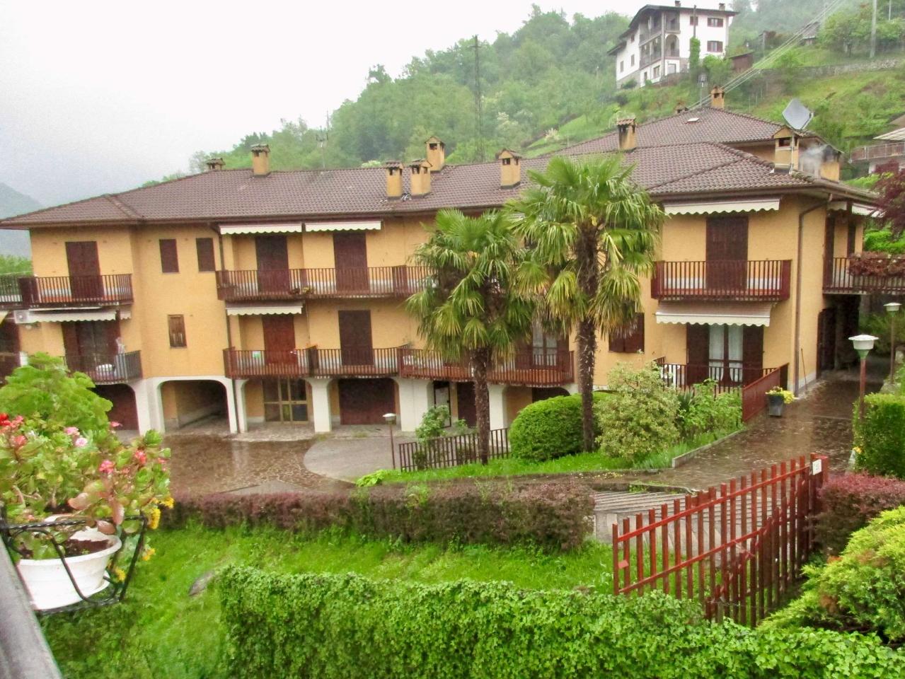 immagine annuncio 12 di 13