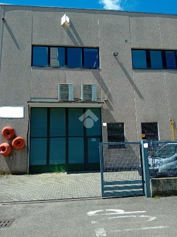insertion image