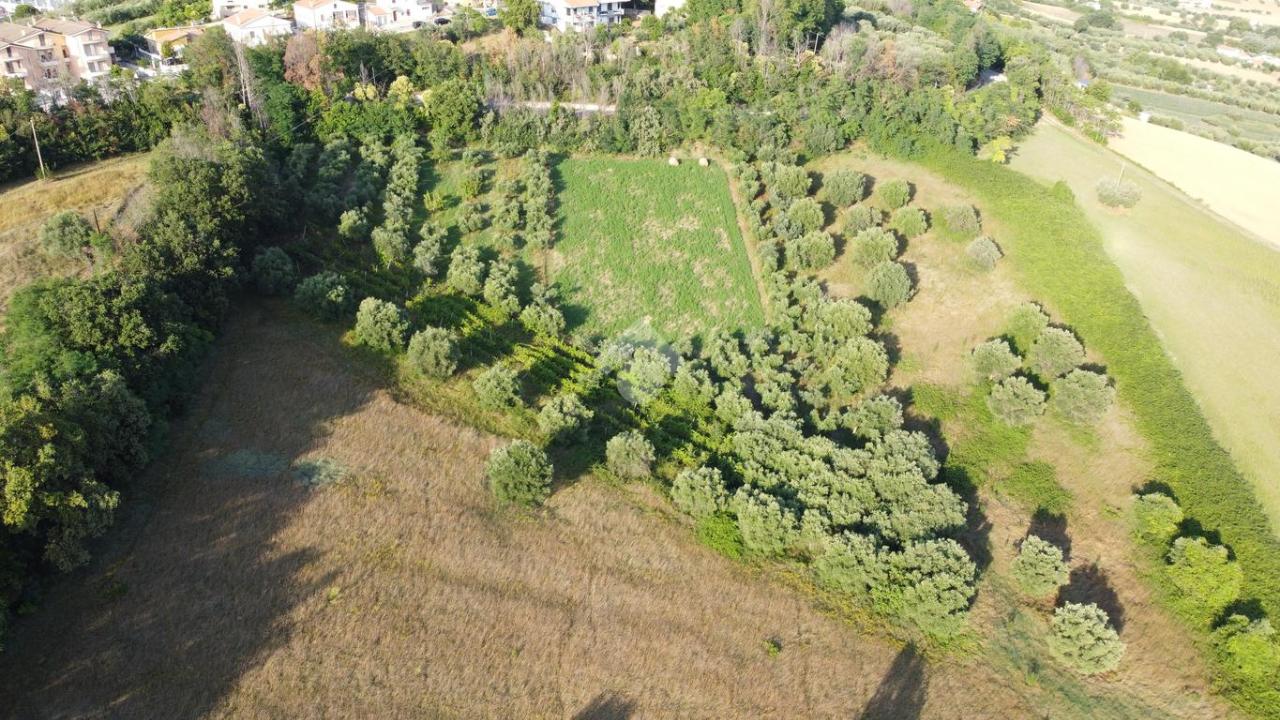 Terreno agricolo in vendita a Mosciano Sant'Angelo