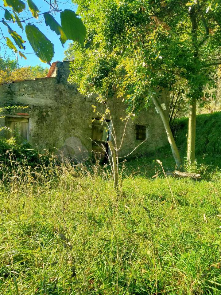 immagine annuncio 7 di 13