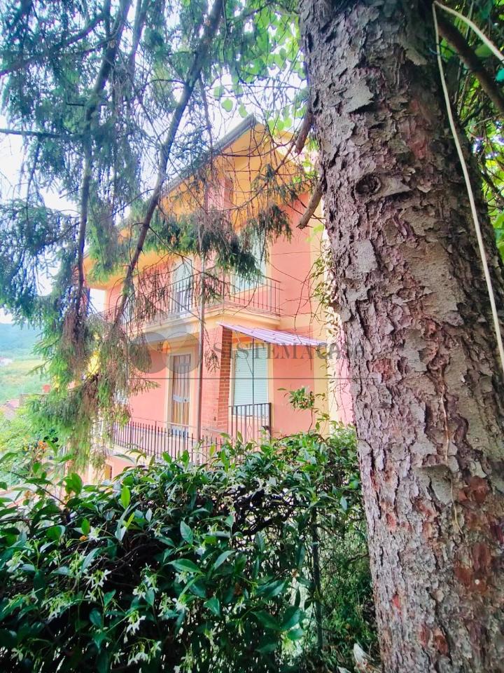 casa indipendente in vendita a Sarzana in zona Falcinello