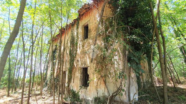 Rustico in Contrada Mercari, Paliano - Foto 1