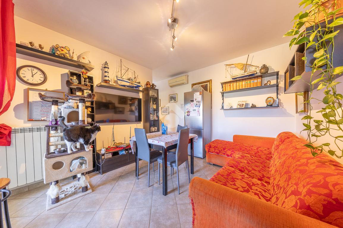 immagine annuncio 12 di 15