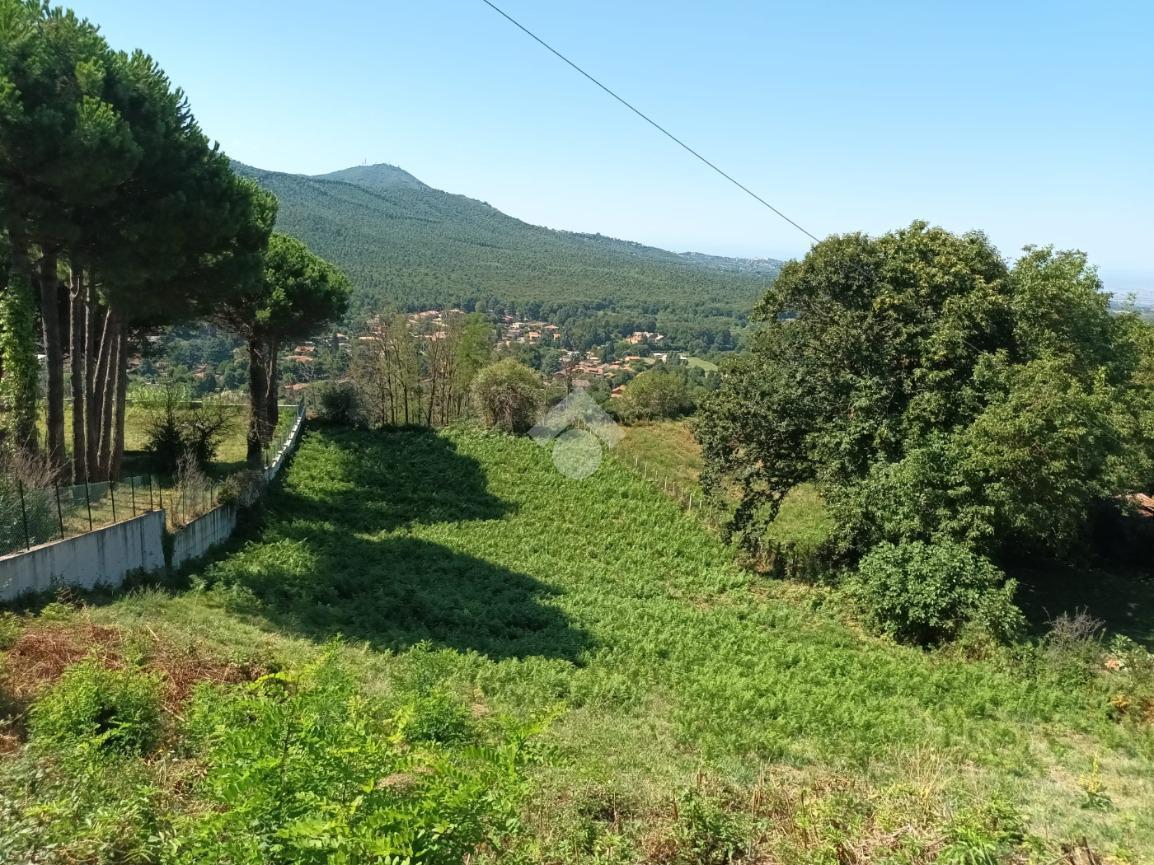 Terreno agricolo in vendita a Rocca Priora