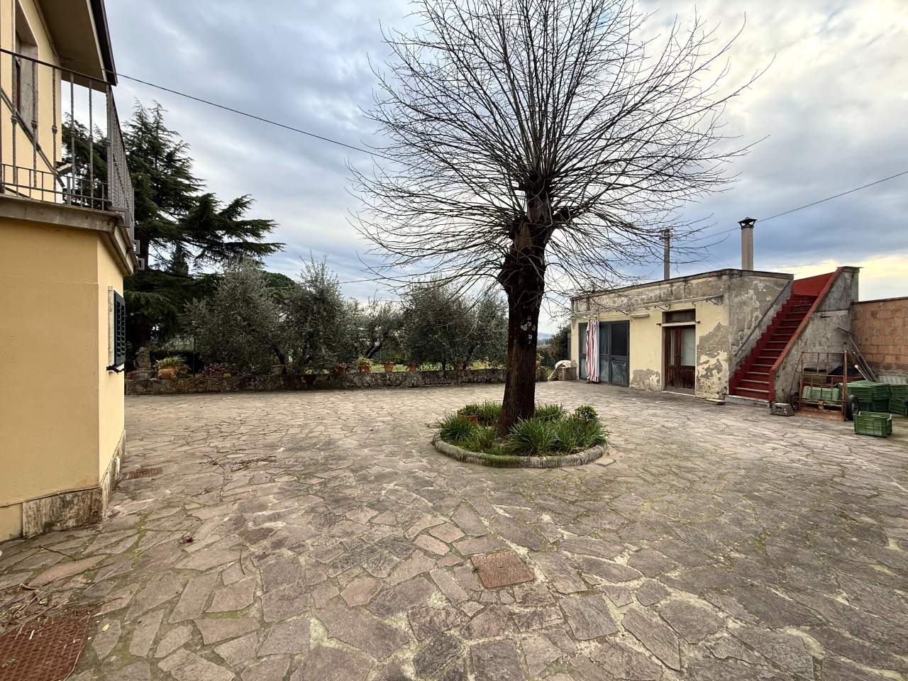 immagine annuncio 11 di 15