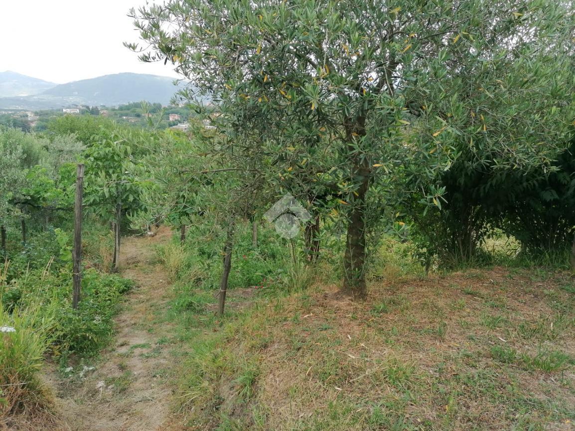 Terreno agricolo in vendita a Avellino