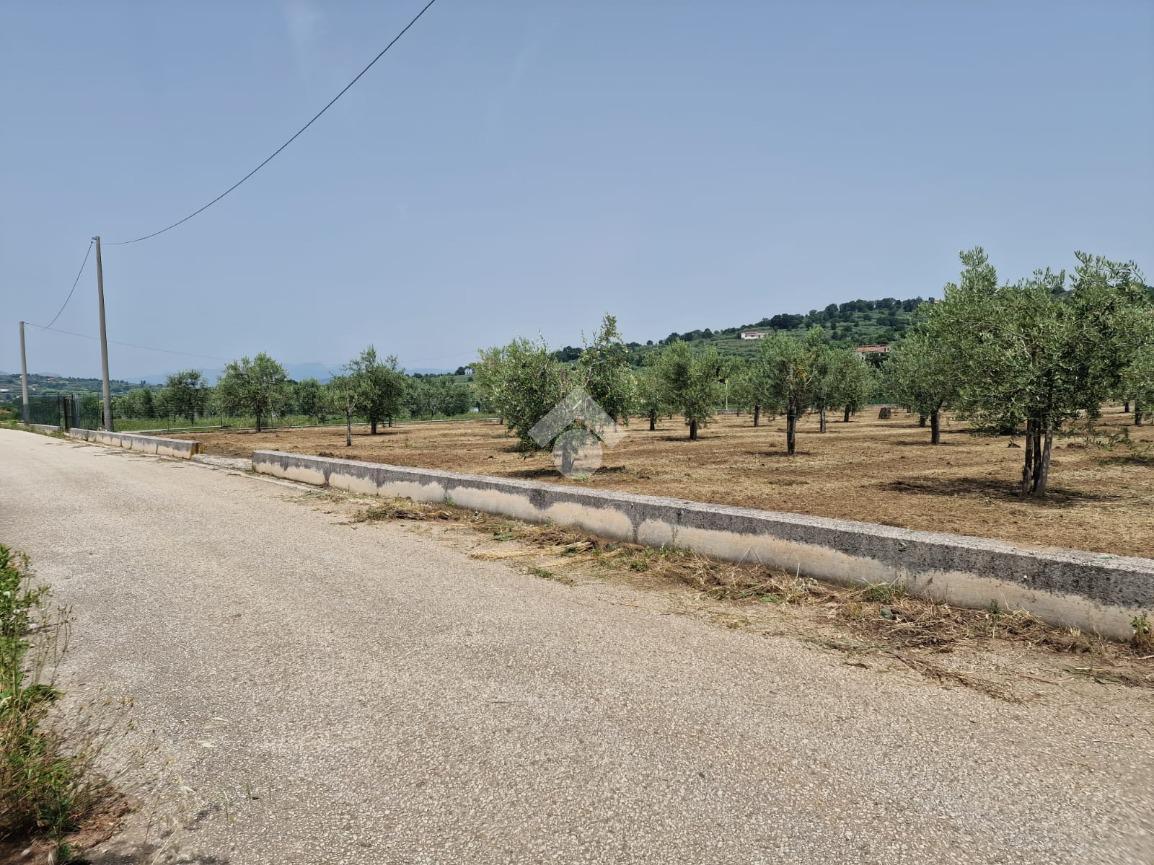 Terreno agricolo in vendita a Sant'Agata De' Goti