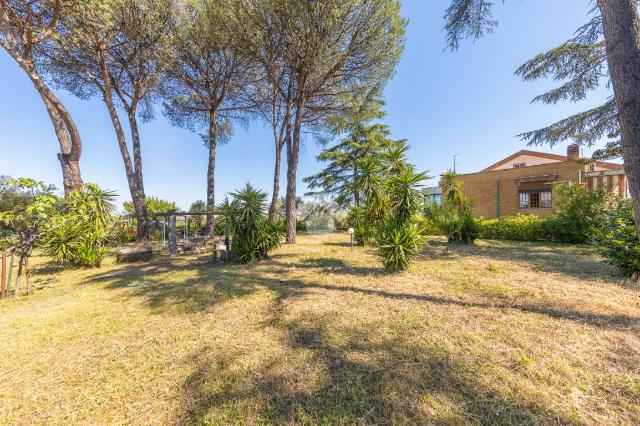 Villa in Via San Giovanni Apostolo 23, Frascati - Foto 1