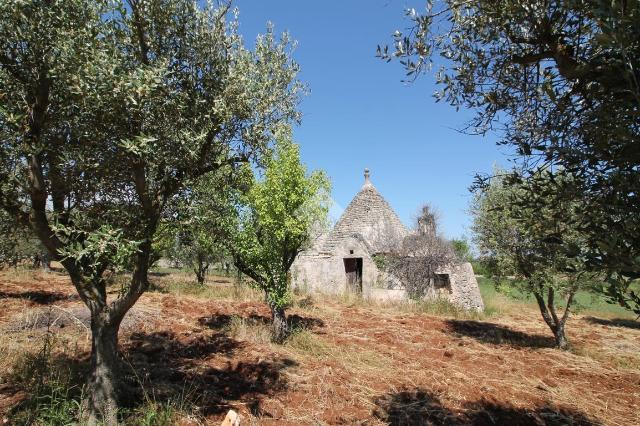 Casa indipendente, Ostuni - Foto 1